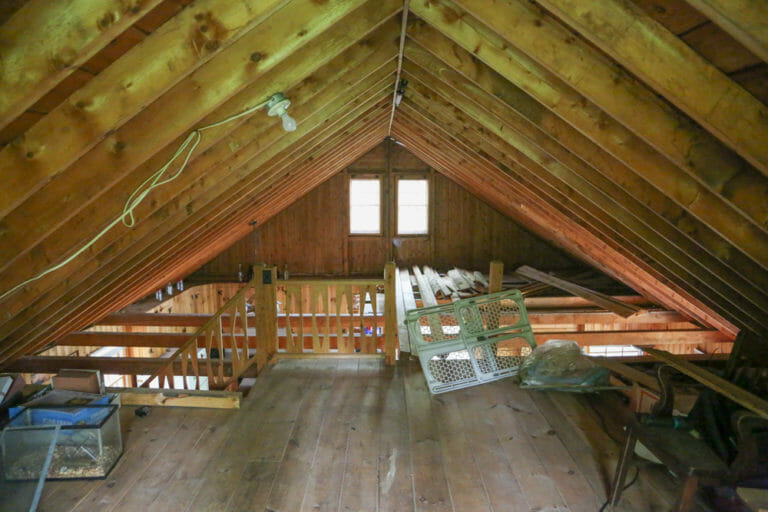 814 Form, Function & Fun on Flying Pond Maine Cabin Masters